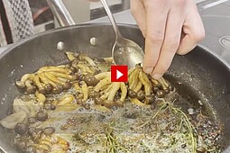 
                Das Ei des Kolumbus - Grill-Pilz zum Grill-Pils 
            