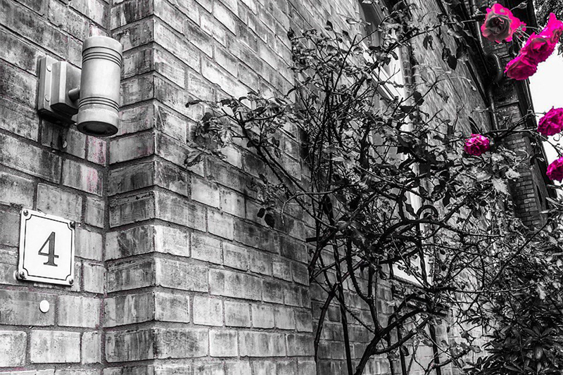 
                Hauswand mit Rosenbusch und Hausnummer 4
            