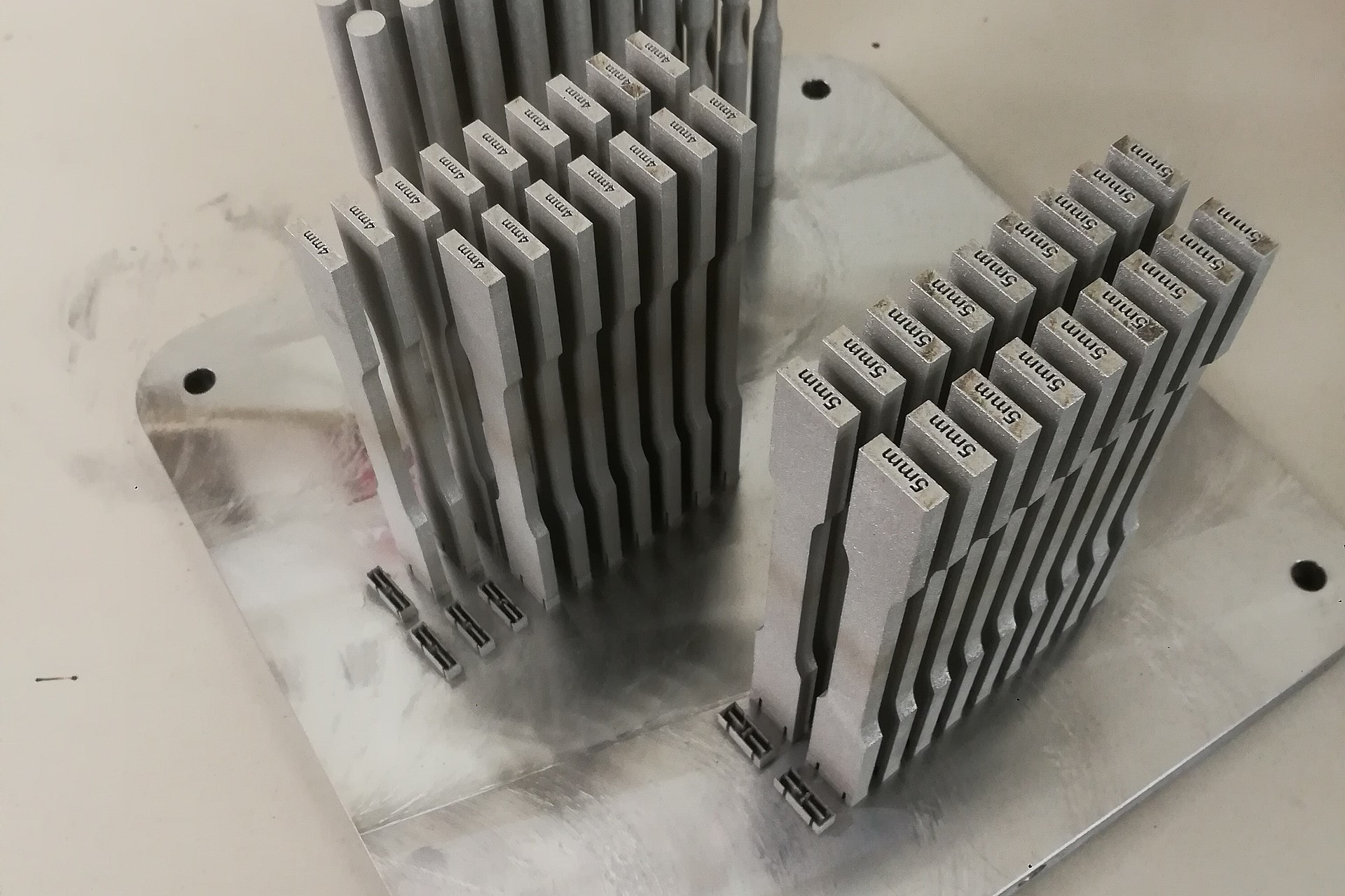 
                                                Mittels SLM gedruckte Zugproben
                                            