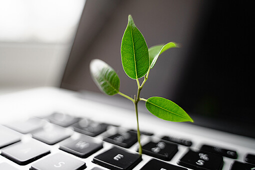 Nachhaltige öffentliche Beschaffung
Pflanzenspross wächst aus der Tastatur eines Computers