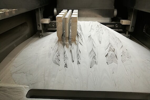 
                                Mittels SLM gedruckte Zugproben
                            