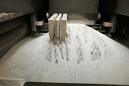 
                Mittels SLM gedruckte Zugproben
            