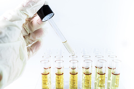 
                                Cannabis-Öl-Gewinnung im Labor
                            