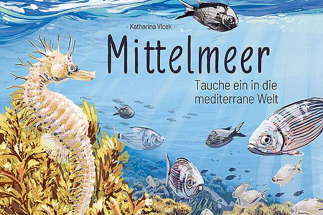 Umschlagfixfertig20240111nurK100