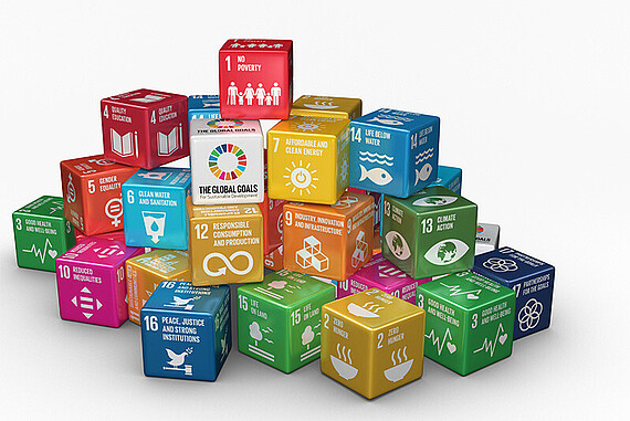 
                                SDG grafisch dargestellt
                            